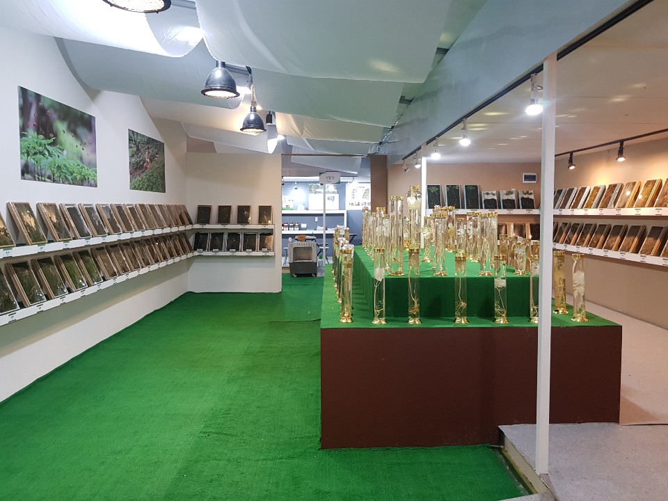 KakaoTalk_20190918_101431710_02
