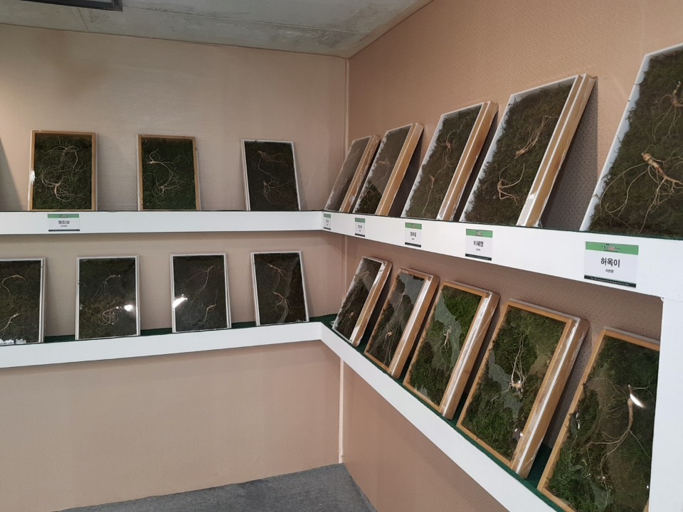 KakaoTalk_20190918_101431710_06